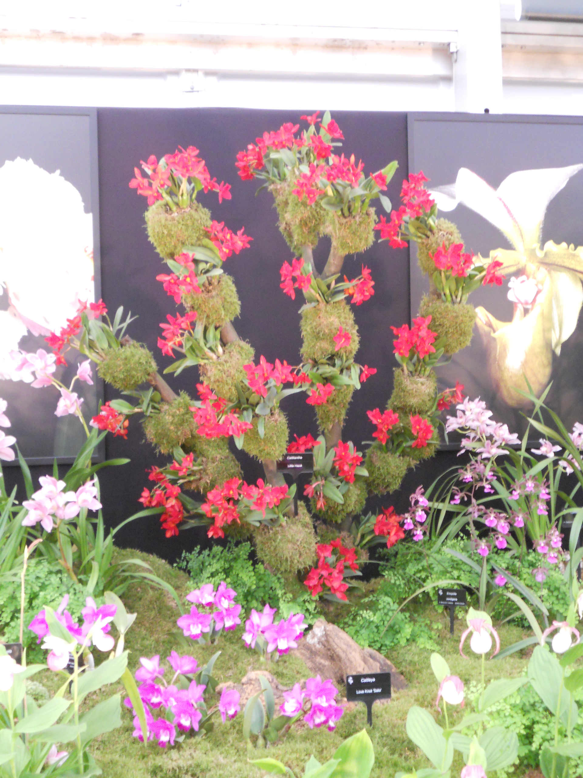 ARCHIVIO LONDRA 2013